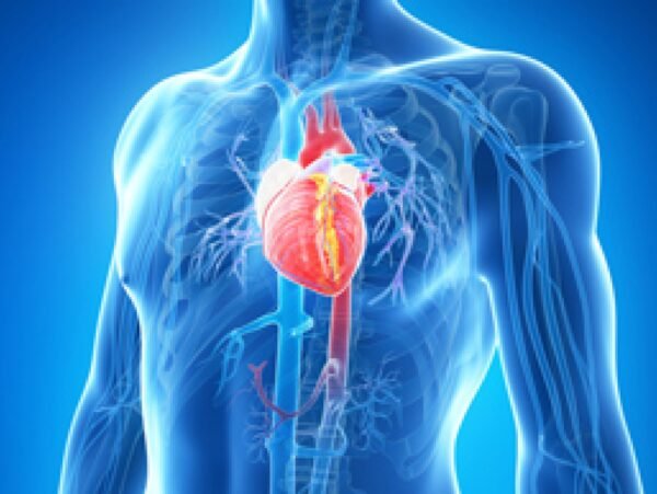 Cardiovascular Diseases